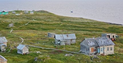 solov_426.jpg solov_426.jpg