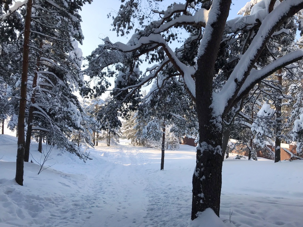 Firmenausflug Januar 2019 Reisebuero FORTUNA GmbH am Ufer des Finnischen Meerbusens