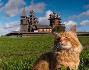 Kishi, Russland