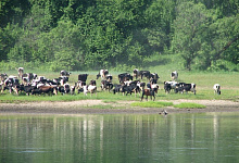 Jenissei, Flussreisen in Sibirien, Russland