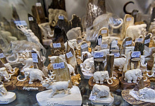 Hotel Azimut in Jakutsk, Jakutien, Sibirien