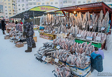 Winter Sibirien-Reisen: Oimjakon - Pol der Kälte, Jakutien