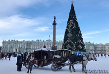 8-tägige Reise nach St. Petersburg. Winter in Russland