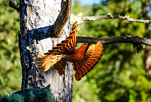 Erholungszentrum in den Sajan-Berge „Schumak“. Sibirien