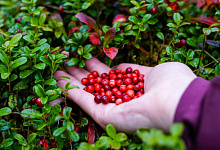 Sajan-Berge in Sibirien. Natur am Baikalsee in Russland