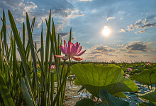 Wolgareisen durch Russland. Astrachan - Wolga-Delta